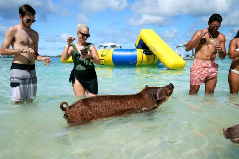 Nassau: Swimming Pigs, Snorkeling, Lunch, & Beach Boat Tour - Snorkeling & Marine Life