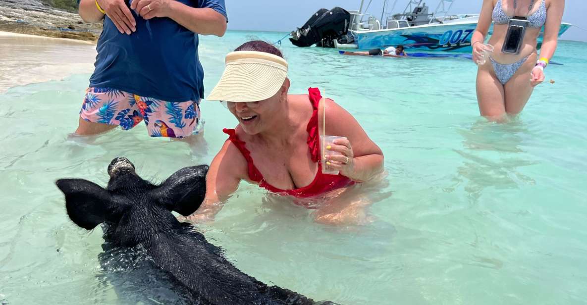 Nassau: Swimming Pigs, Turtle Viewing, Snorkeling, and Lunch - Key Points