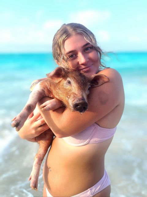 Nassau: Swimming Pigs, Turtle Viewing, Snorkeling, and Lunch - Turtles at Green Cay