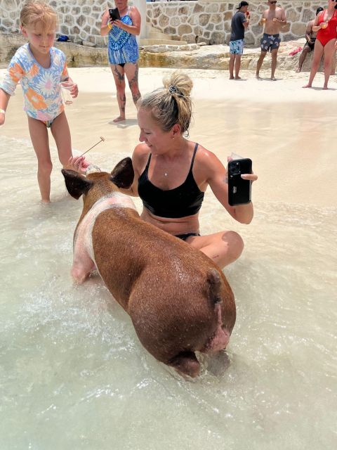 Nassau: Swimming Pigs, Turtle Viewing, Snorkeling, and Lunch - Swimming With Pigs on Rose Island