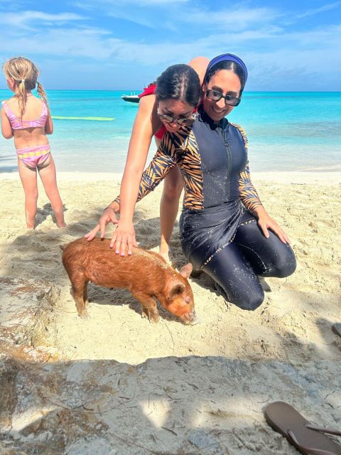 Nassau: Swimming Pigs, Turtle Viewing, Snorkeling, and Lunch - Foliage and Scenery
