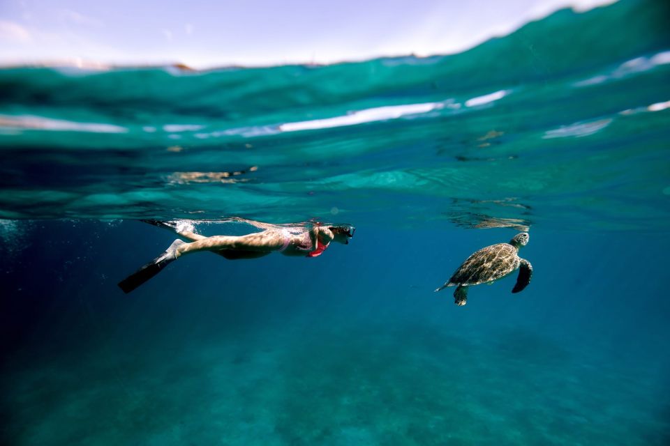 Nassau: Swimming Pigs, Turtle Viewing, Snorkeling, and Lunch - Accessibility and Exclusions