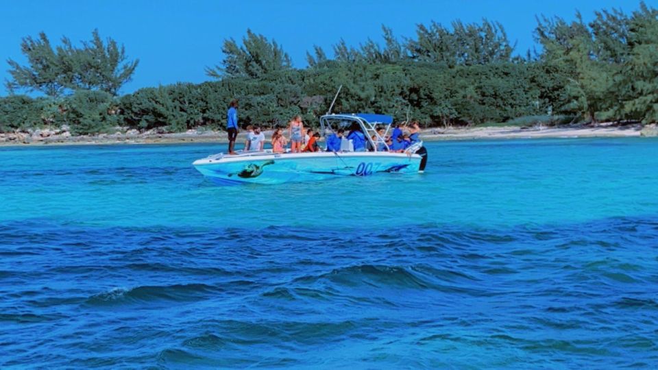 Nassau: Swimming Pigs, Turtle Viewing, Snorkeling, and Lunch - Flexible Cancellation Policy