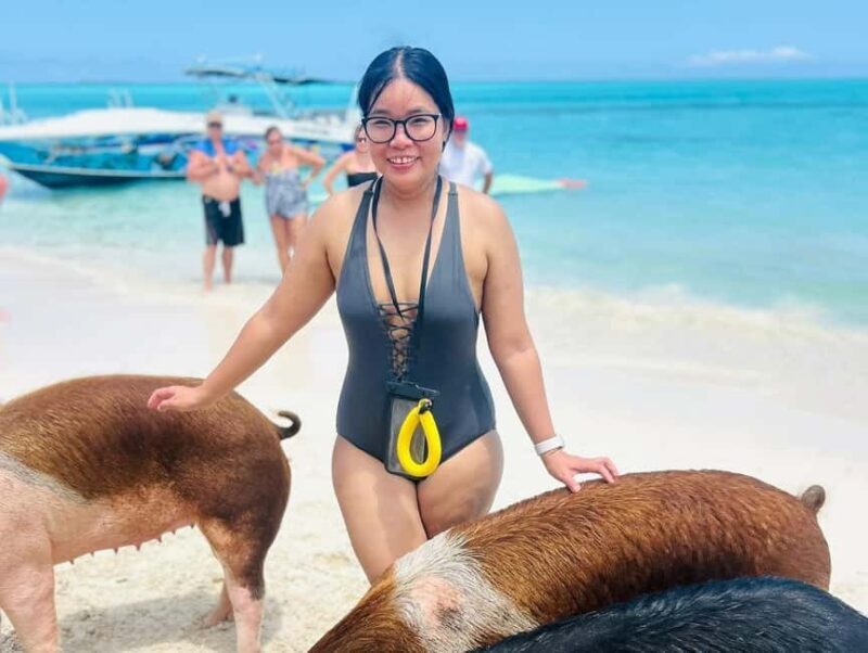 Nassau: Swimming Pigs, Turtles, Snorkel & More - Final Thoughts: Who Will Love This Tour?