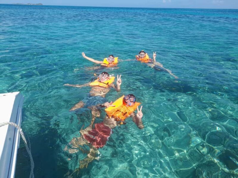 Nassau: Swimming with Pigs, Snorkeling, and Sightseeing Tour - Final Thoughts
