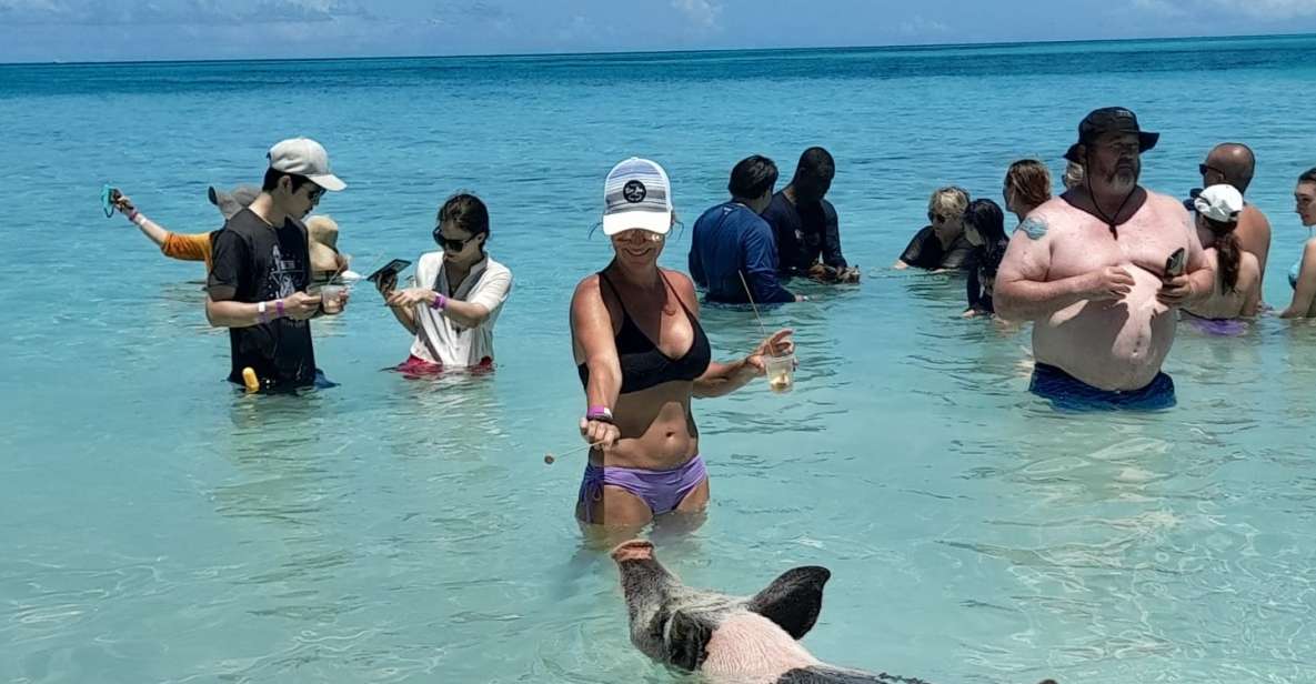 Nassau: Swimming With Pigs, Snorkeling, and Sightseeing Tour - Itinerary Highlights