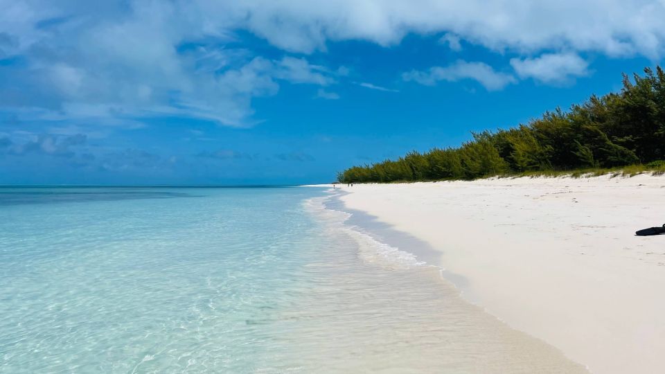 Nassau: Swimming With Pigs, Snorkeling, and Sightseeing Tour - Sights and Activities