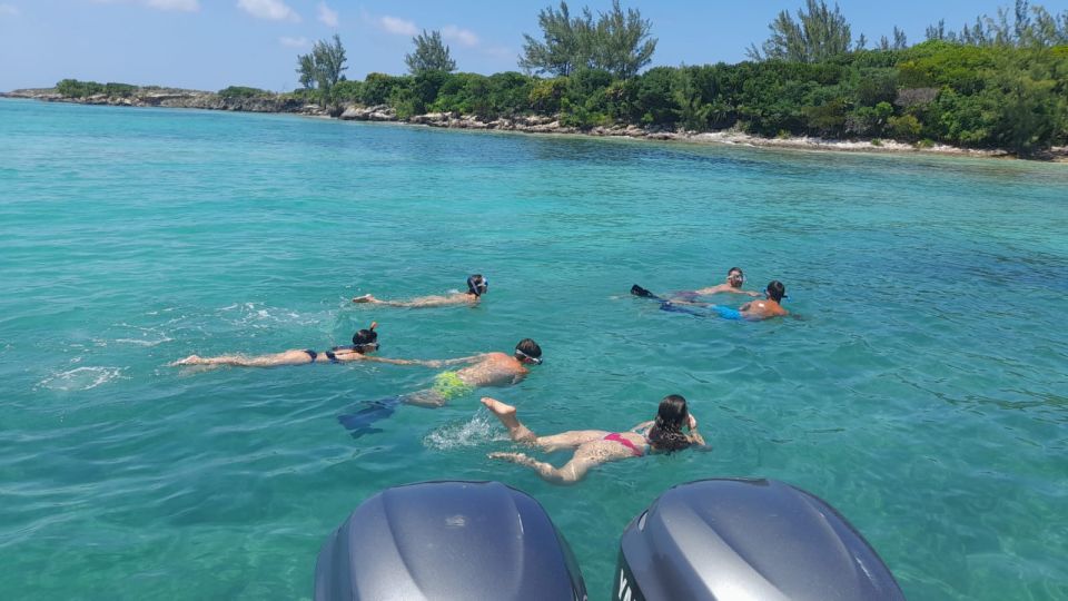 Nassau: Swimming With Pigs, Snorkeling, and Sightseeing Tour - Frequently Asked Questions