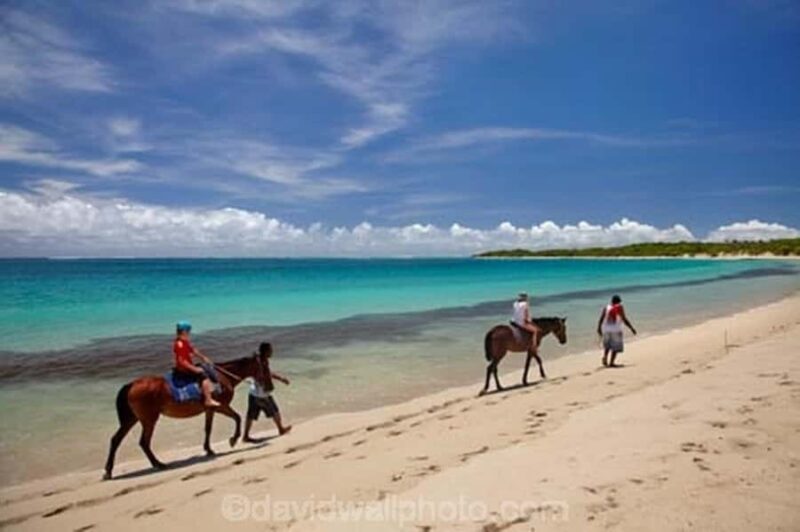 Natadola Beach Tour With Tifajek Mud Pool & Hotspring - Authenticity and Overall Experience