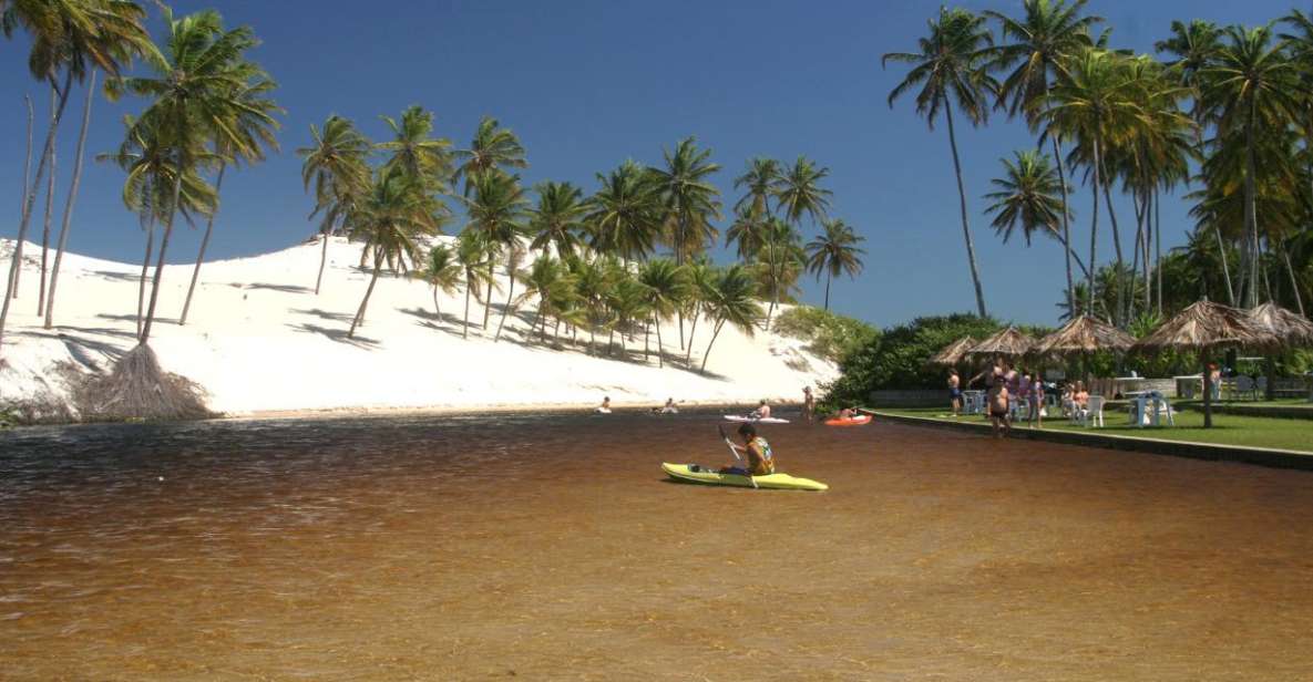 Natal: Perobas and Punau Beach Day Trip With Snorkeling - Snorkeling Experience at Parracho De Peroba