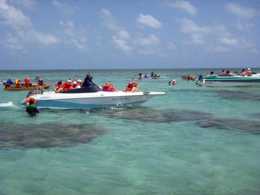 Natal: Perobas and Punau Beach Day Trip With Snorkeling - Discovering Marine Life and Coral Reefs