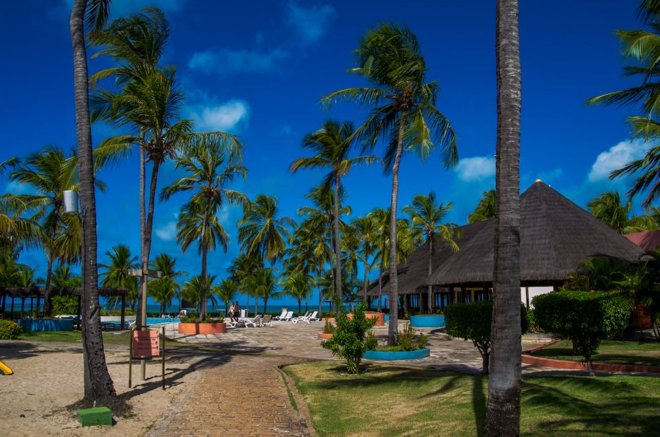 Natal: Perobas and Punau Beach Day Trip With Snorkeling - What to Expect During the Trip