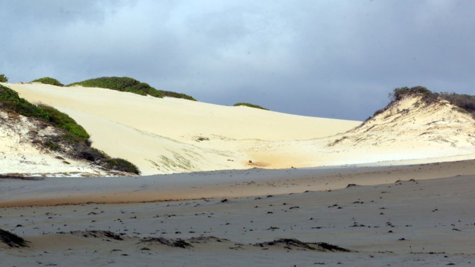 Natal: South Coast Day Tour by 4X4 With Pickup - Key Points