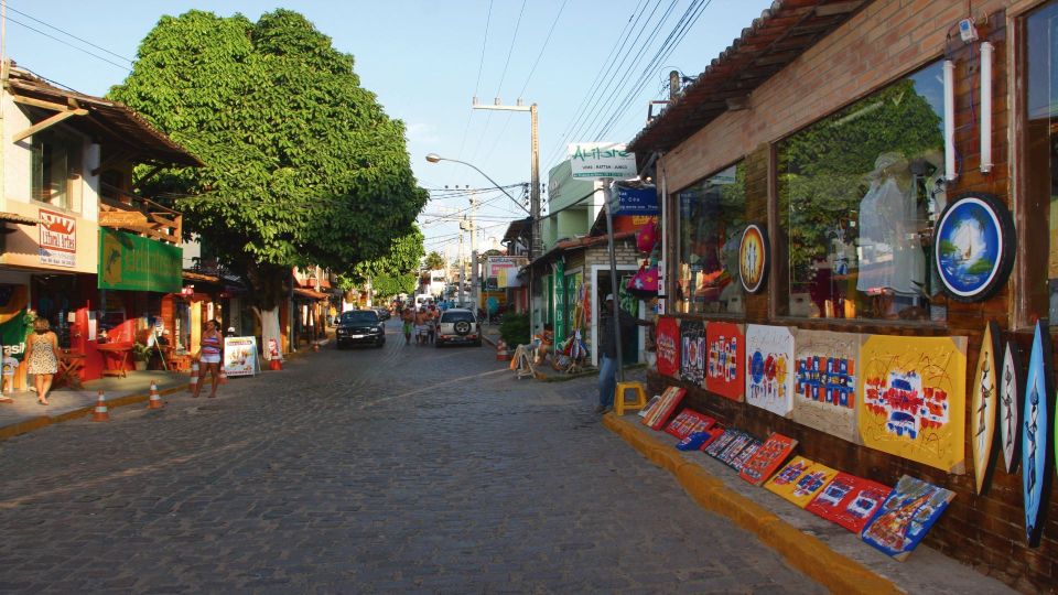 Natal: South Coast Day Tour by 4X4 With Pickup - Dolphin Spotting