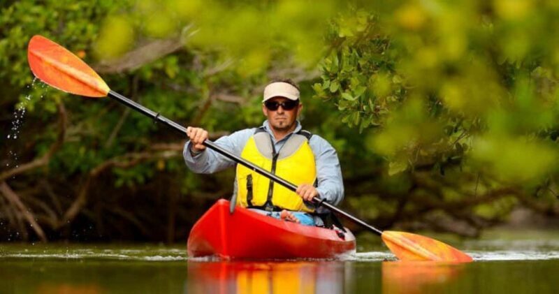 Natick: Lake Cochituate Single or Tandem Kayak Rental - Why Kayaking at Lake Cochituate is a Great Choice
