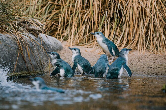 National Aquarium of New Zealand in Napier General Admission - What to Expect When Visiting the Aquarium