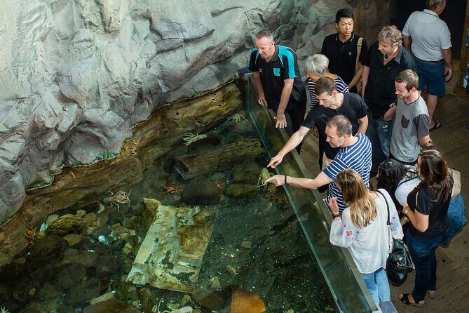 National Aquarium of New Zealand in Napier Native Icons Tour - Pricing and Value