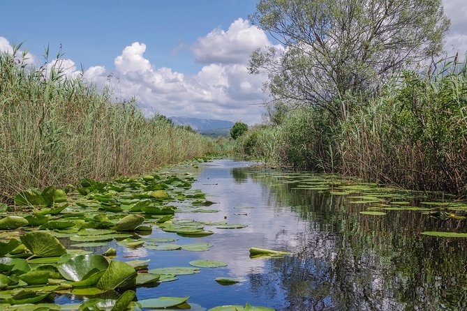 National Bird Reserve Hutovo Blato Photo Safari - Birding Experience