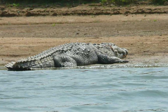 National Chambal Sanctuary and Alligator Day Tour From Agra - Booking and Cancellation Policies