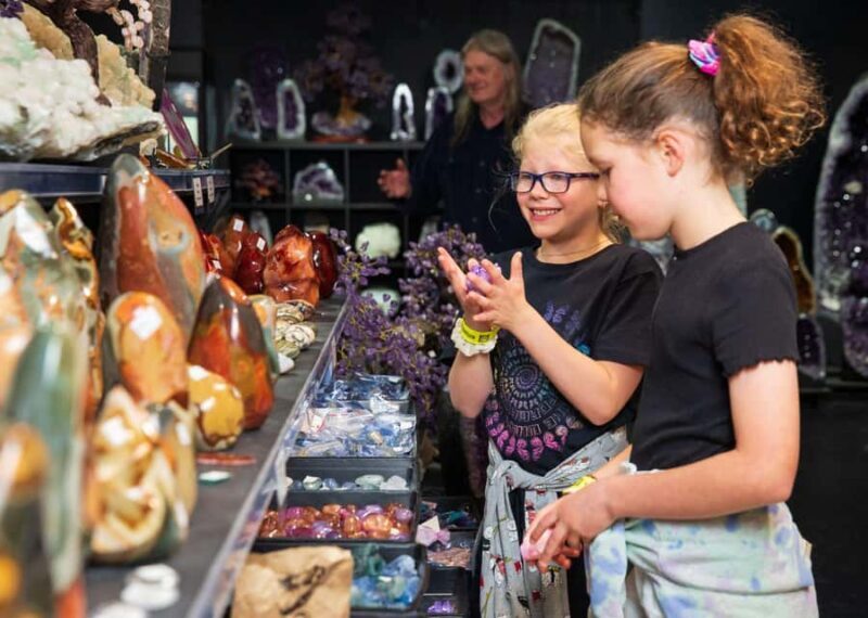 National Dinosaur Museum - Entry Ticket - FAQ