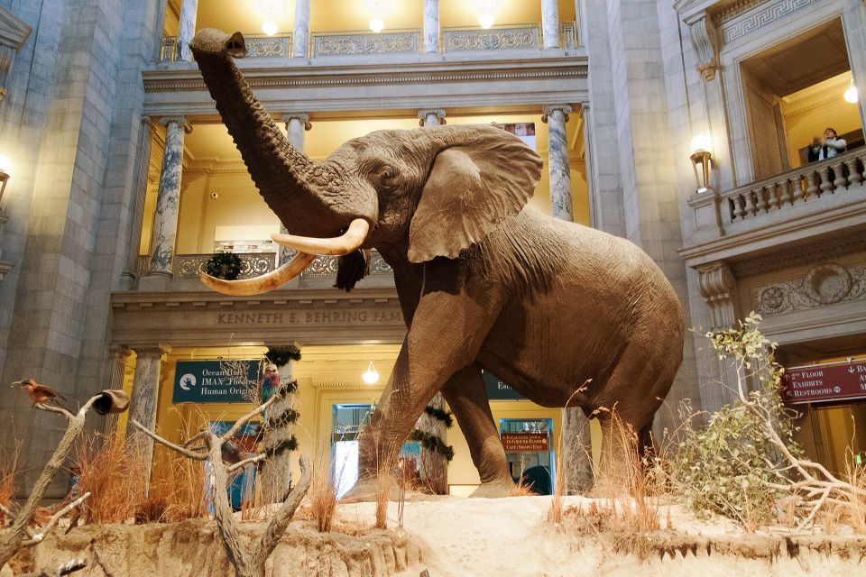 National Museum of Natural History Guided Tour - Key Points