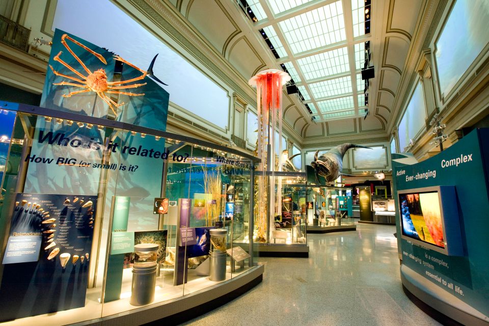National Museum of Natural History Guided Tour - Key Exhibits and Attractions