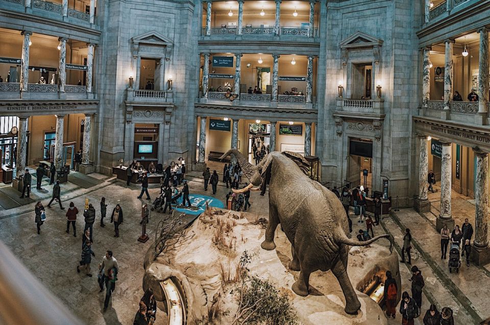 National Museum of Natural History Guided Tour - Tour Guide Expertise