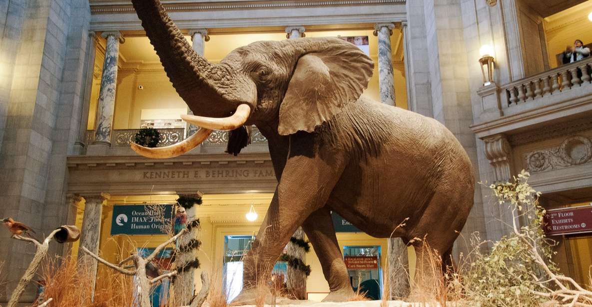 National Museum of Natural History Guided Tour - Museum Closure Considerations