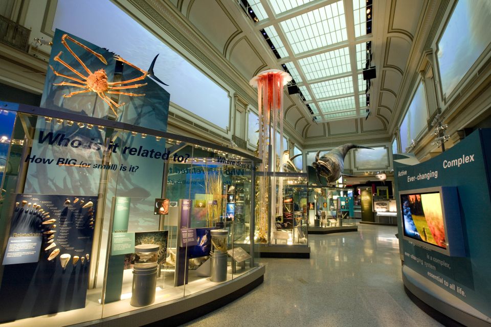 National Museum of Natural History Guided Tour - Frequently Asked Questions