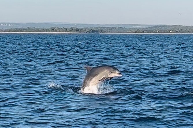 National Park Brijuni Tour From Pula With Dolphins, Sunset&Dinner - Good To Know