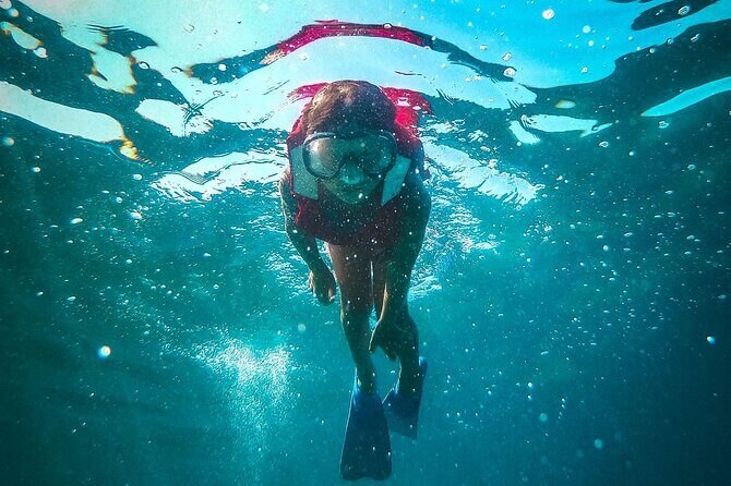 National Park Kornati & Telascica Nature Park for 15 people max - Key Points