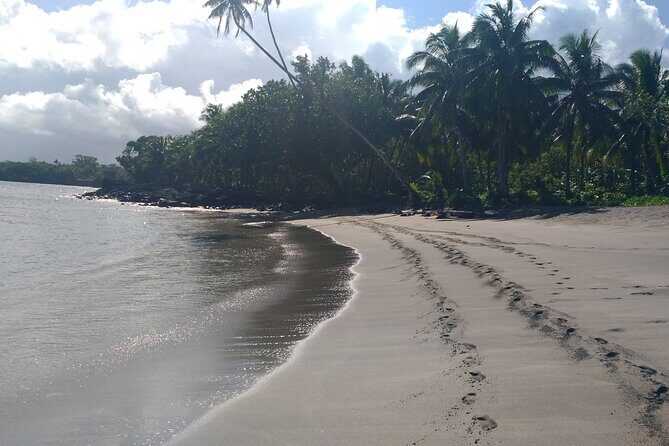 National Park Lava Cliffs and Black Sand Beach - Frequently Asked Questions