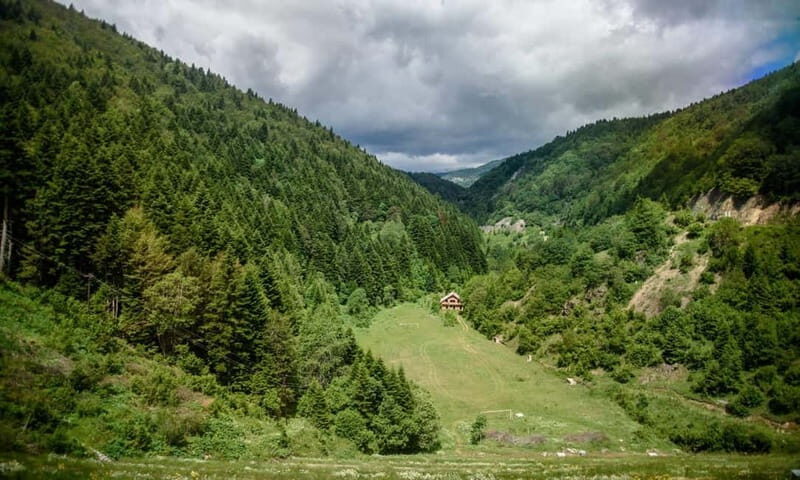 National Park Mavrovo from Ohrid - What Travelers Can Expect
