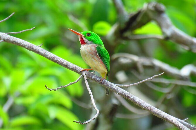 National Park of the East Private Hiking Tour with Swimming - Starting Point: Stress-Free Pickup and Transportation