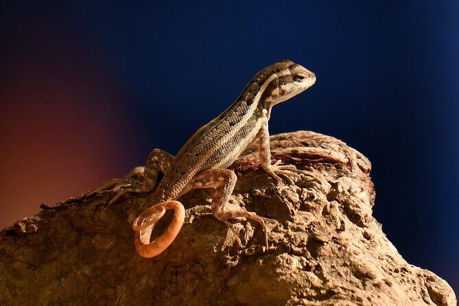 National Park of the East Private Hiking Tour with Swimming - Why This Tour Offers Good Value