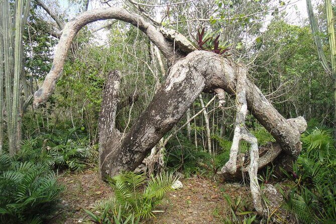 National Park of the East Private Hiking Tour with Swimming - Authentic Guides Make a Difference