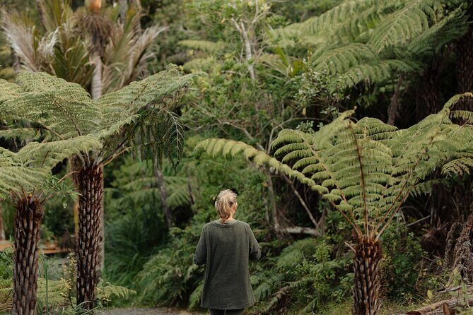 Native Forest Farm Experience Nourishing Nature in Auckland - What Makes This Experience Unique?
