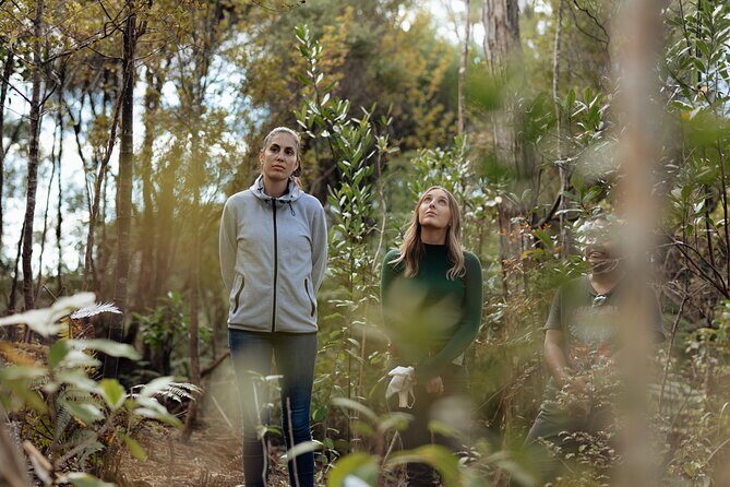 Native Forest Farm Experience Nourishing Nature in Auckland - Exploring the Itinerary: Step-by-Step