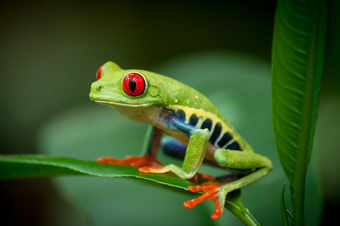 Natura Eco Park Admission - Diverse Wildlife Exhibits