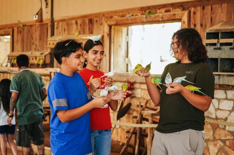 Natural Bridge Wildlife Ranch: Self-Guided Safari Drive-Thru - How It Fits Into Your Travel Plans