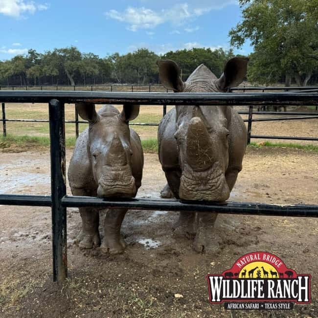 Natural Bridge Wildlife Ranch: Self-Guided Safari Drive-Thru - How Long Does It Take and What’s the Value?