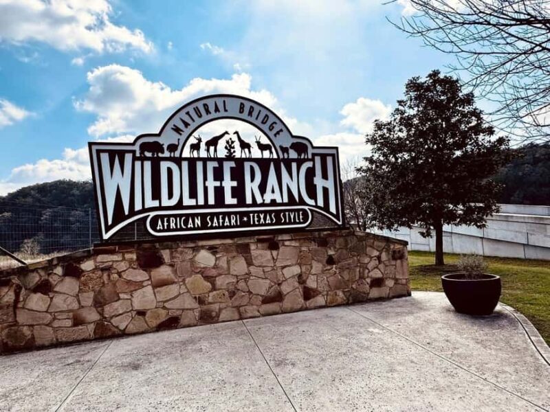 Natural Bridge Wildlife Ranch: Self-Guided Safari Drive-Thru - Final Thoughts: Who Will Love This?