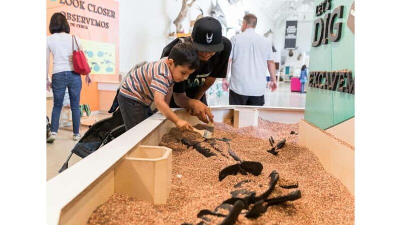 Natural History Museum LA: Entry + Fierce! The Story of Cats - A Walk Through the Natural History Museum LA