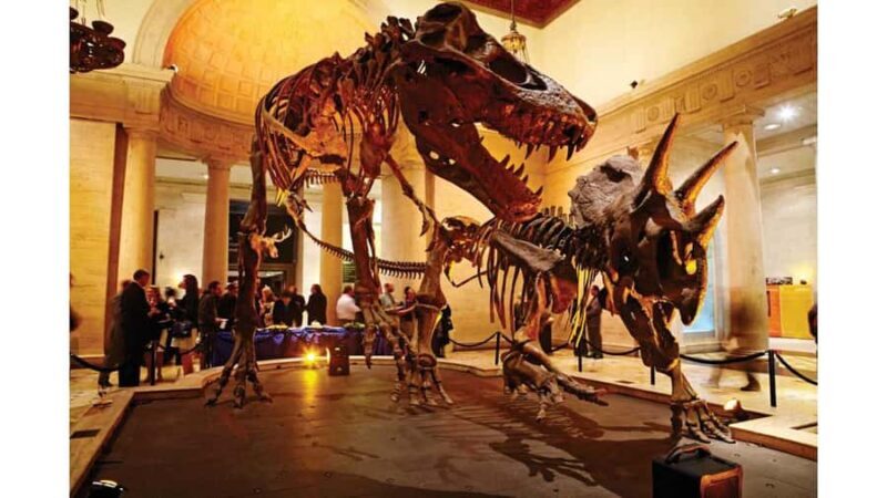 Natural History Museum LA: Entry + Fierce! The Story of Cats - The Value of the Visit