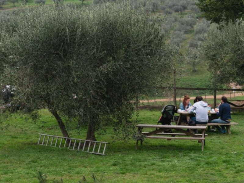 Natural Park and Picnic Experience near Florence - Meeting the Animals and Connecting with Nature