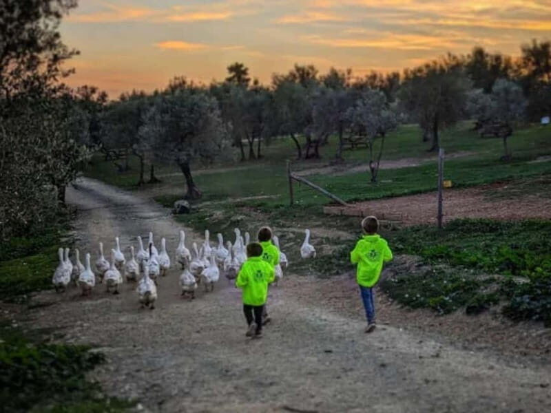 Natural Park and Picnic Experience near Florence - Who Will Love This Experience?
