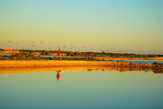 Natural Park Segway Tour with Seafood Lunch in Faro Island - Final Thoughts