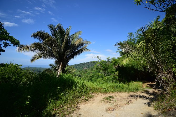 Natural Pools of Trompito and Rio Mar Viewpoint - Transportation and Accessibility Details