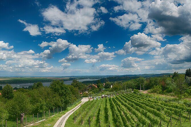 Natural wine tasting with great views - A Scenic Escape from Belgrade’s Bustle
