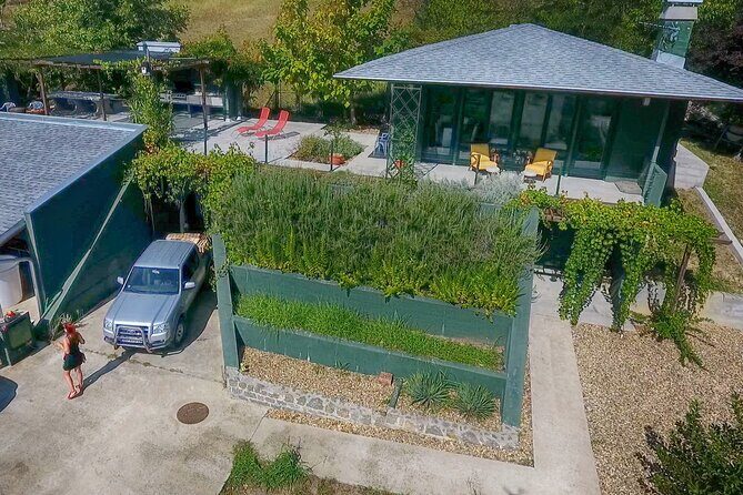 Natural wine tasting with great views - Authenticity and Crowd